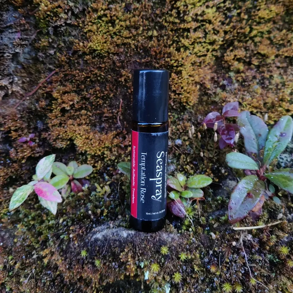 Temptation Rose In Musk Background:Conclusion: Oil-Based Parfums?
